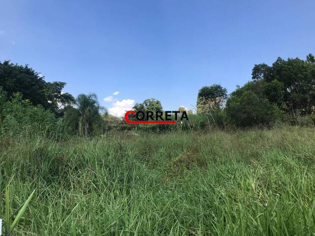 Área para Venda em Ibiúna - 5