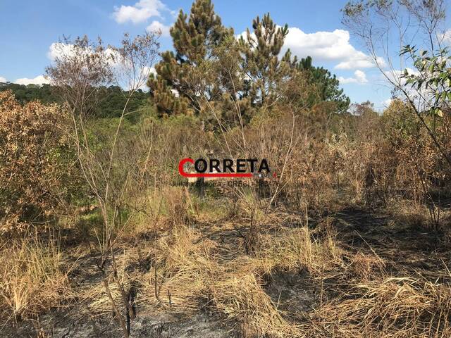 #827 - Área para Venda em Ibiúna - SP - 2