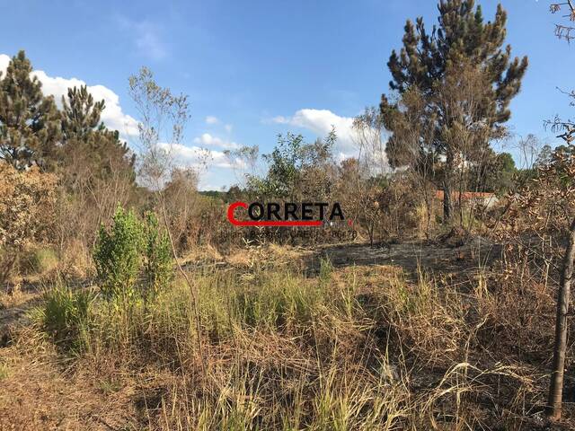 #827 - Área para Venda em Ibiúna - SP - 3