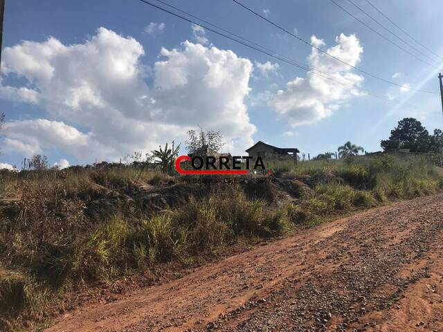 #827 - Área para Venda em Ibiúna - SP - 1