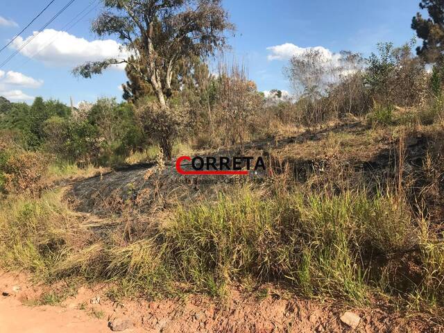 Área para Venda em Ibiúna - 5