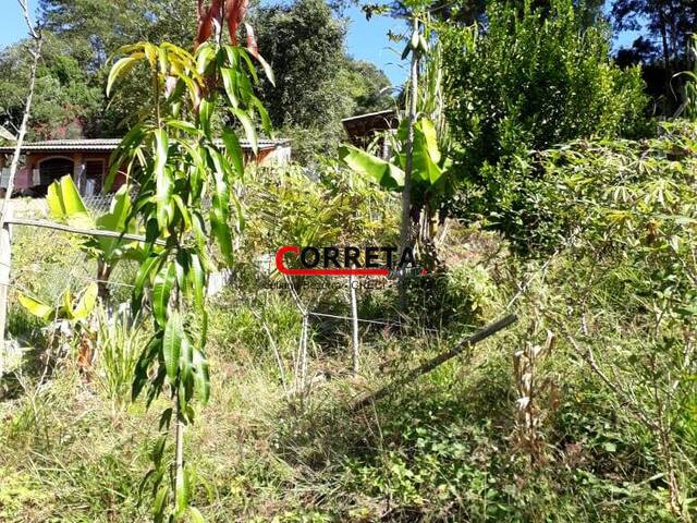Área para Venda em Ibiúna - 5