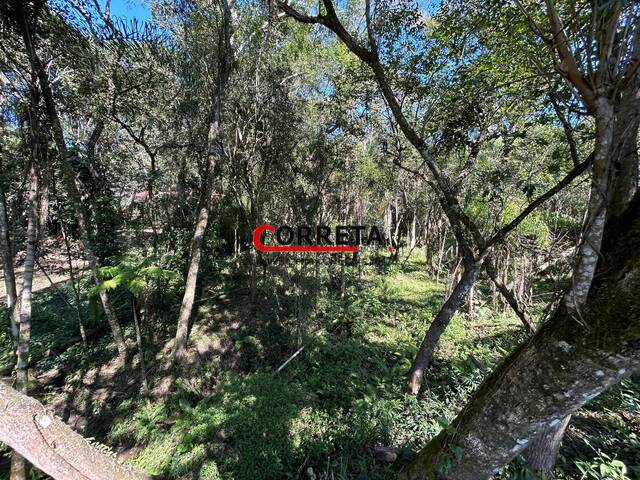 #839 - Área para Venda em Ibiúna - SP - 3