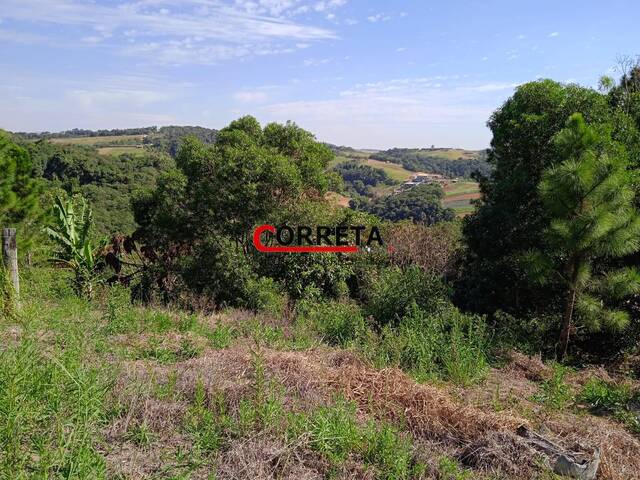 #846 - Terreno para Venda em Ibiúna - SP - 3
