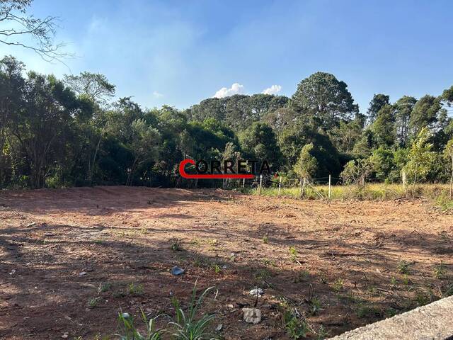 Venda em centro - Ibiúna