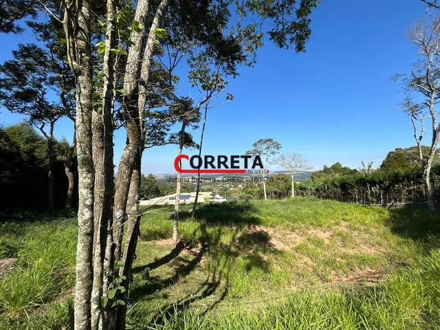 Área para Venda em Ibiúna - 2