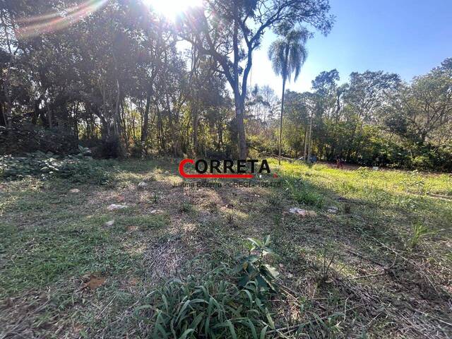 Área para Venda em Ibiúna - 4