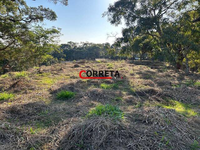 Venda em Campo Verde - Ibiúna