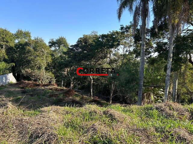 #868 - Área para Venda em Ibiúna - SP - 3