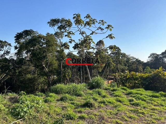 Área para Venda em Ibiúna - 5