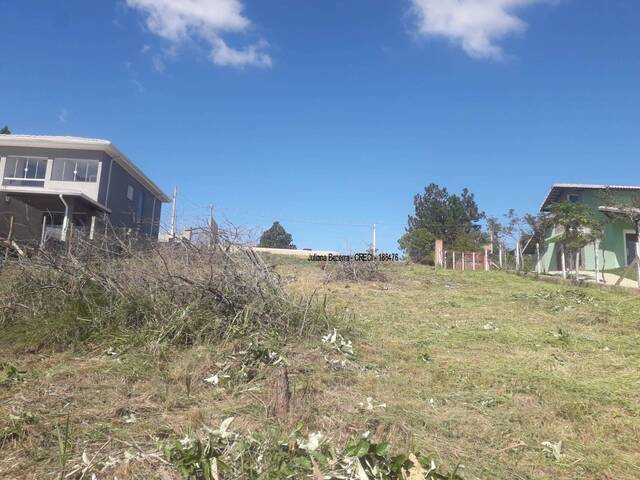 #932 - Área para Venda em Ibiúna - SP - 3
