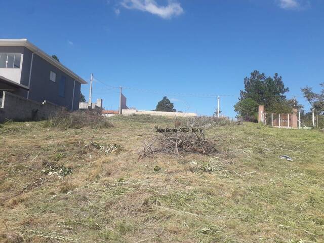 Área para Venda em Ibiúna - 4