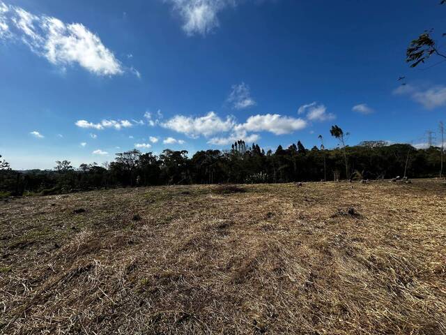 Venda em Piedade - Piedade