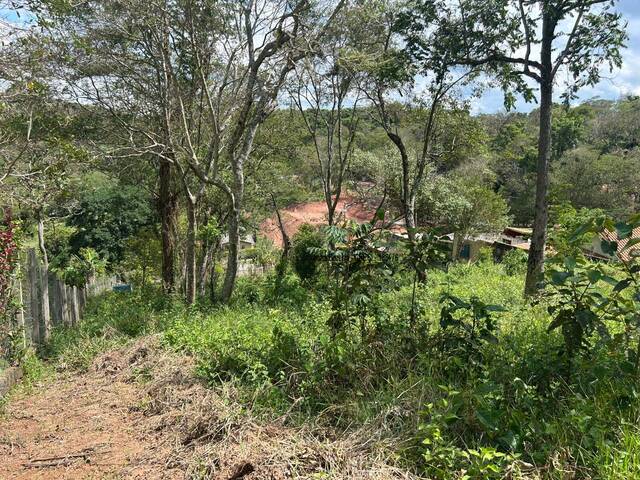 #966 - Área para Venda em Ibiúna - SP - 3