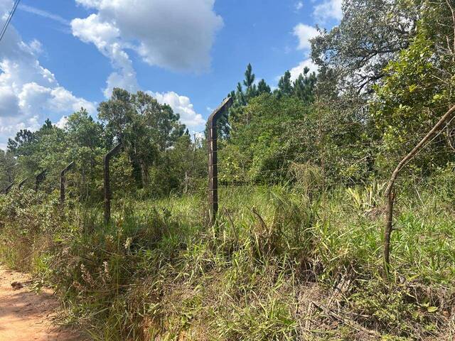 Área para Venda em Ibiúna - 3