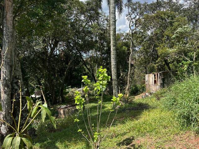 Área para Venda em Ibiúna - 4