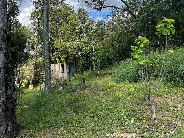 Área para Venda em Ibiúna - 2