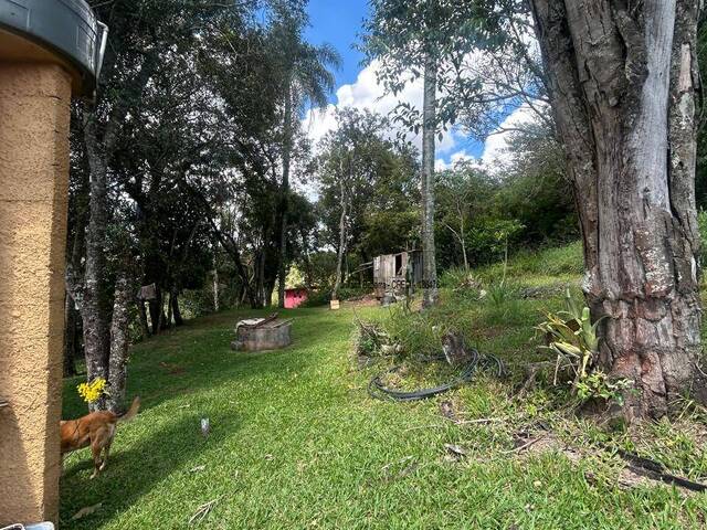 Área para Venda em Ibiúna - 5