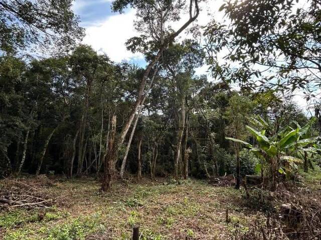 Terreno para Venda em Ibiúna - 5