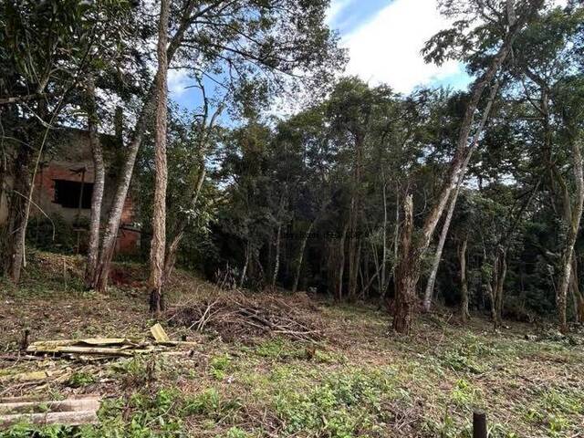 Terreno para Venda em Ibiúna - 4