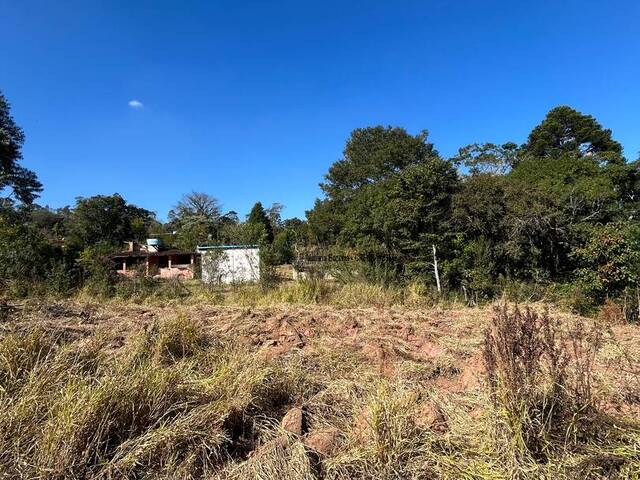 Área para Venda em Ibiúna - 4