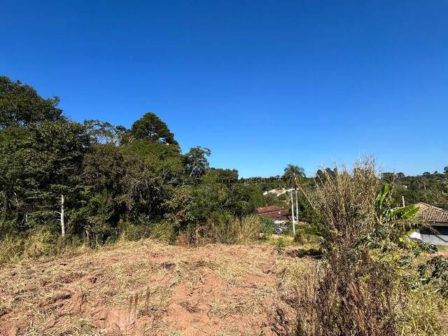 Área para Venda em Ibiúna - 5