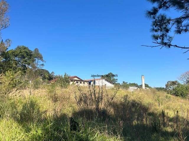 Área para Venda em Ibiúna - 4