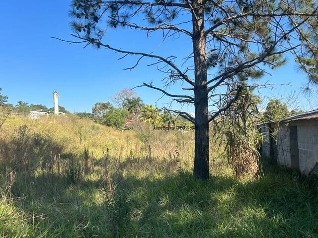 Área para Venda em Ibiúna - 5