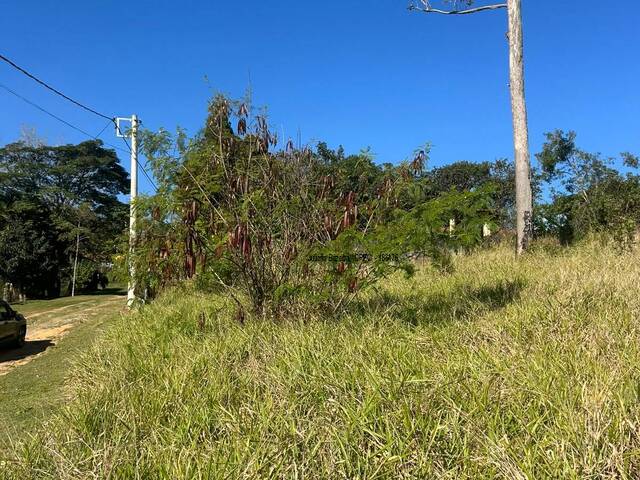 Terreno para Venda em Ibiúna - 3