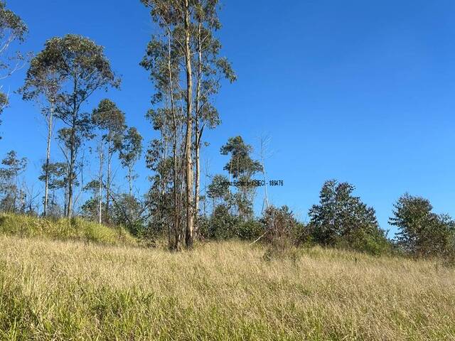 Terreno para Venda em Ibiúna - 4