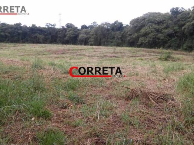 #152 - Sítio para Venda em Piedade - SP - 1