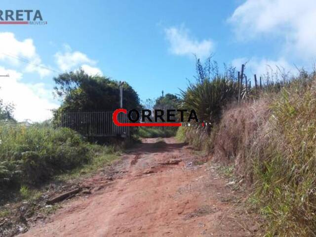 #152 - Sítio para Venda em Piedade - SP - 3