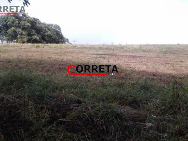 Sítio para Venda em Piedade - 4