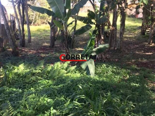 Terreno para Venda em Ibiúna - 3