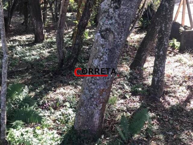 Terreno para Venda em Ibiúna - 4