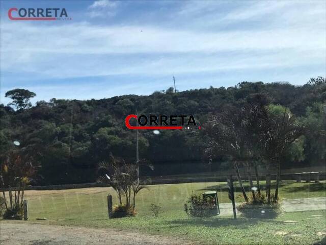 Terreno para Venda em Ibiúna - 5