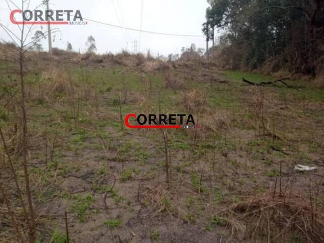 Terreno para Venda em Ibiúna - 2