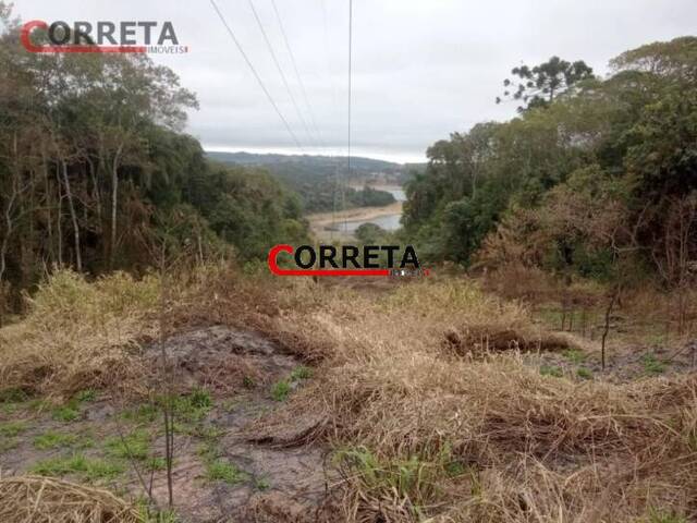 Terreno para Venda em Ibiúna - 4