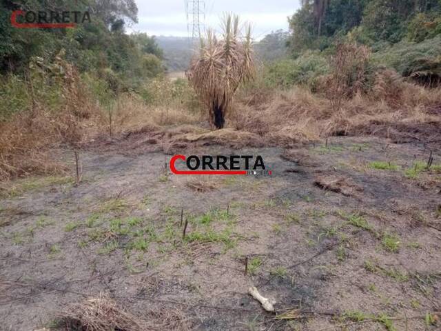Terreno para Venda em Ibiúna - 3