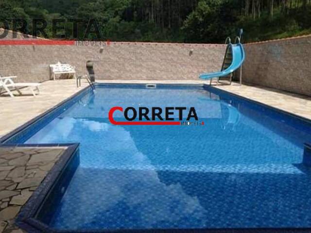 #241 - Sítio para Venda em São Roque - SP - 1
