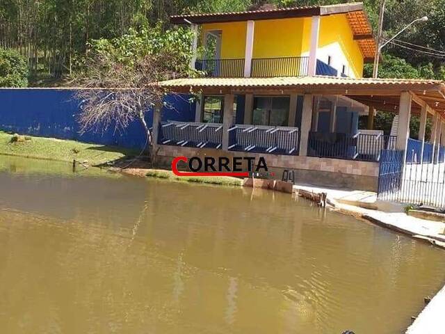 #241 - Sítio para Venda em São Roque - SP - 2