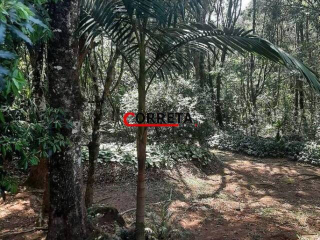 Terreno para Venda em Ibiúna - 4