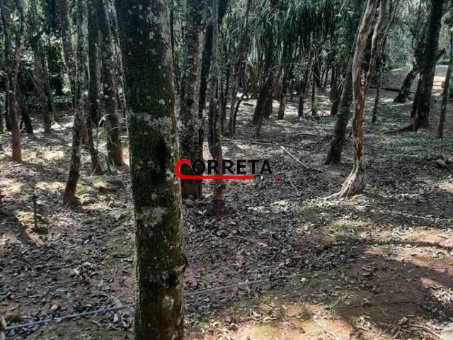 Terreno para Venda em Ibiúna - 3