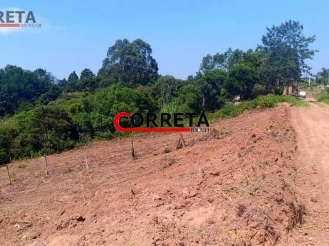 #260 - Terreno para Venda em Piedade - SP - 1