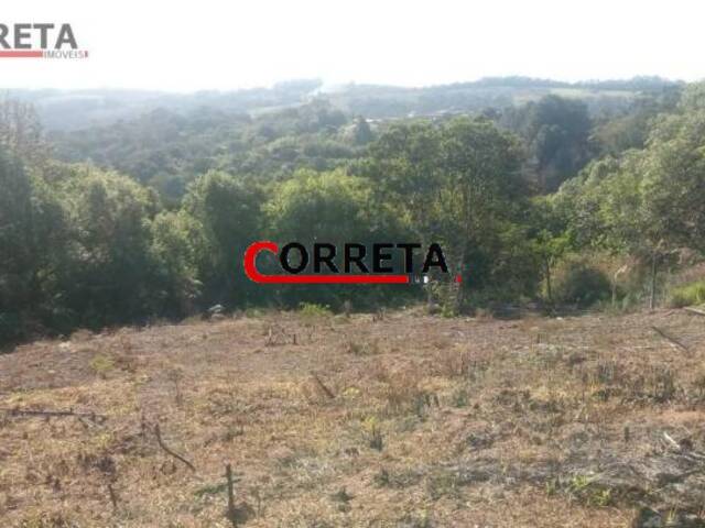 #260 - Terreno para Venda em Piedade - SP - 2