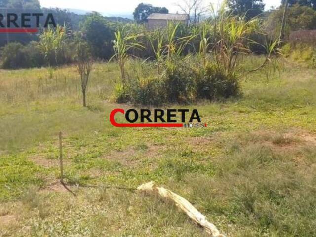 #269 - Terreno para Venda em Ibiúna - SP - 1