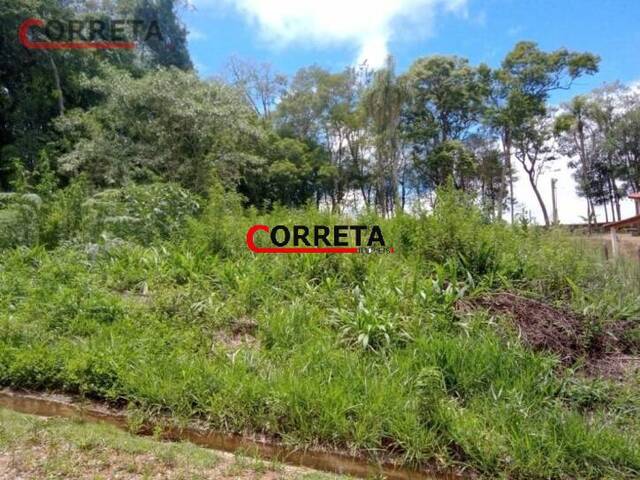 Terreno para Venda em Ibiúna - 2