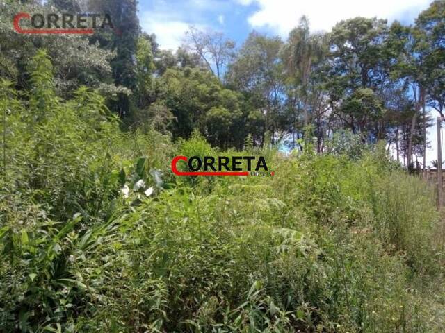 Terreno para Venda em Ibiúna - 3