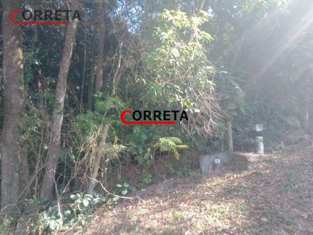 Terreno para Venda em Ibiúna - 5