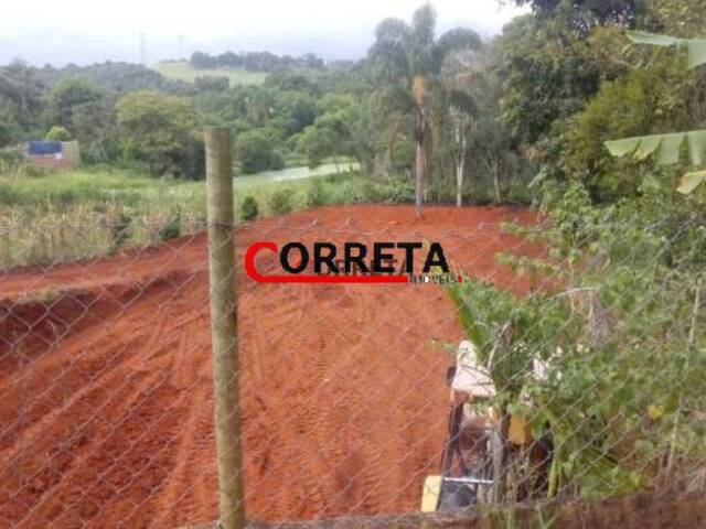 #354 - Terreno para Venda em Ibiúna - SP - 3